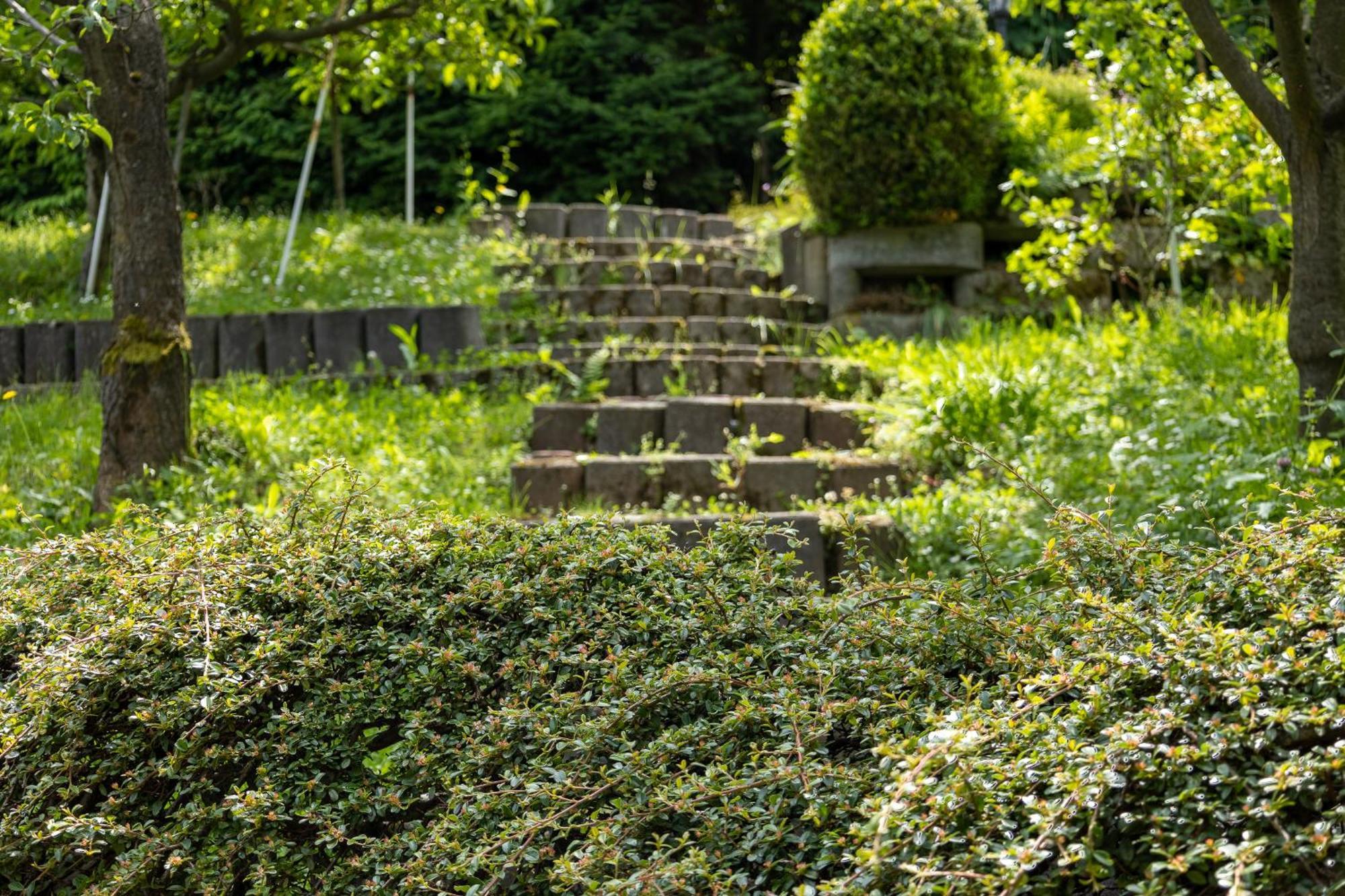 Villa Amalia, Centrum Banska Stiavnica, Parkovanie Pre 2 Auta, Velka Zahrada S Krbom, Cela Villa Amalia Pre 14 Osob Alebo Samostatne Nezavisle Prve Podlazie Villa Ama Pre 6 Osob Alebo Samostatne Nezavisle Podkrovie Villa Lia Pre 8 Osob,Pristup Cez Pi Ngoại thất bức ảnh